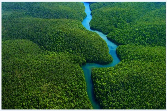 Inspection technique structure pont